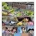 ULTIMATE SPIDER-MAN #118 interior art